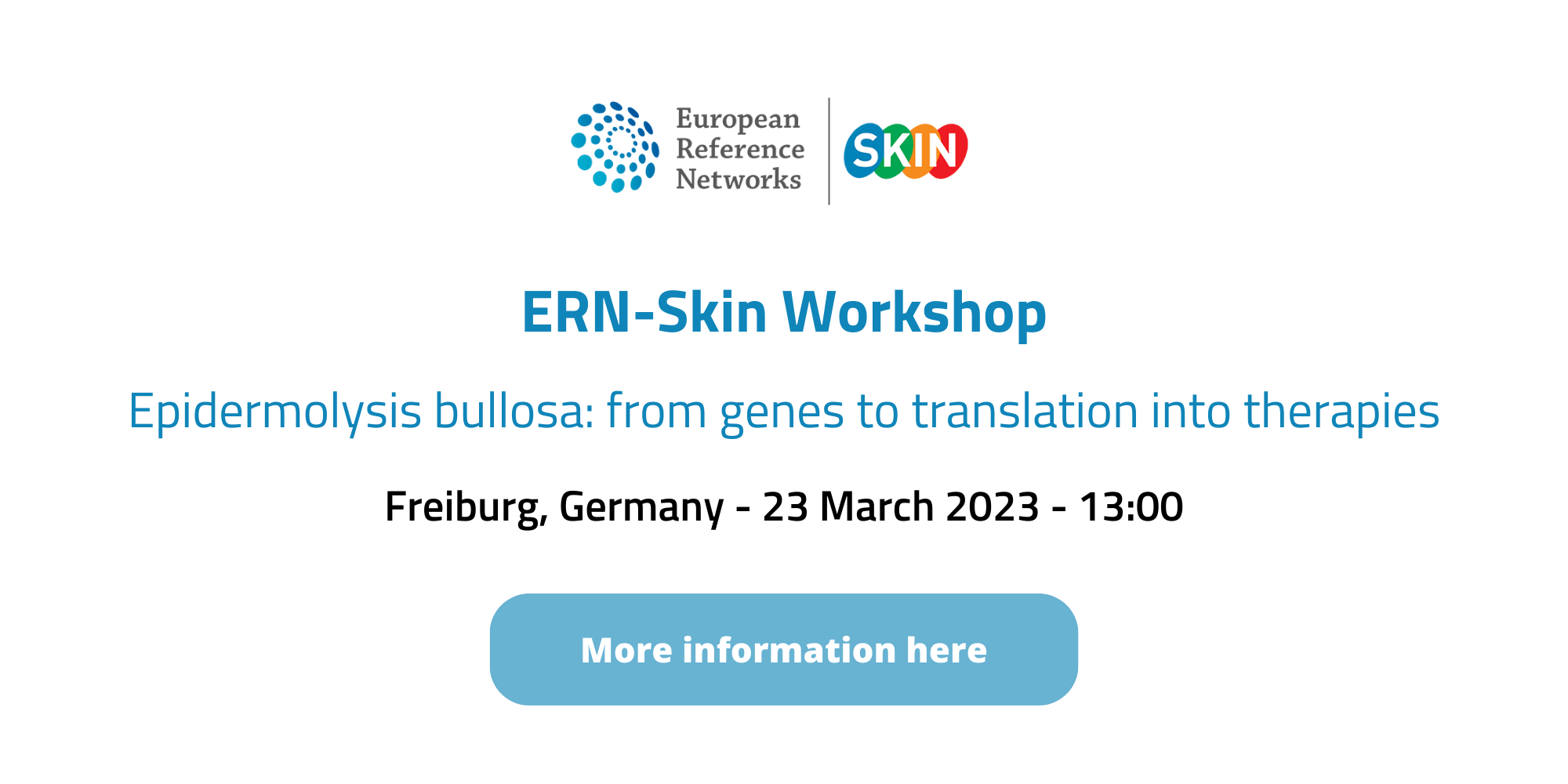 Visuels ERN-Skin – Home page NEWS (2)